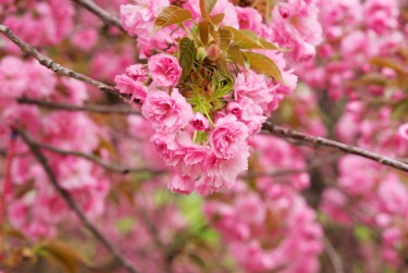 苏州吴中区线下个人借款平台一站式服务，轻松解决资金难题
