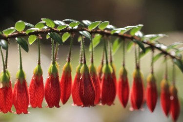 苏州吴中区零用贷短借：轻松解决临时资金需求