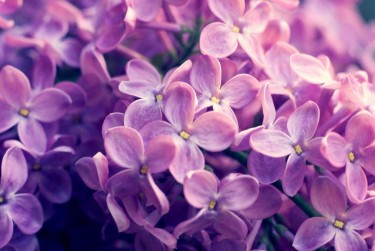 苏州吴中区企业急用钱贷款攻略：快速融资解燃眉之急